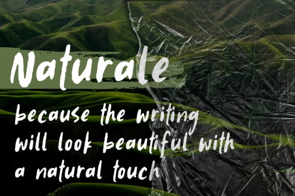 Naturale: A Natural Script for Web Design